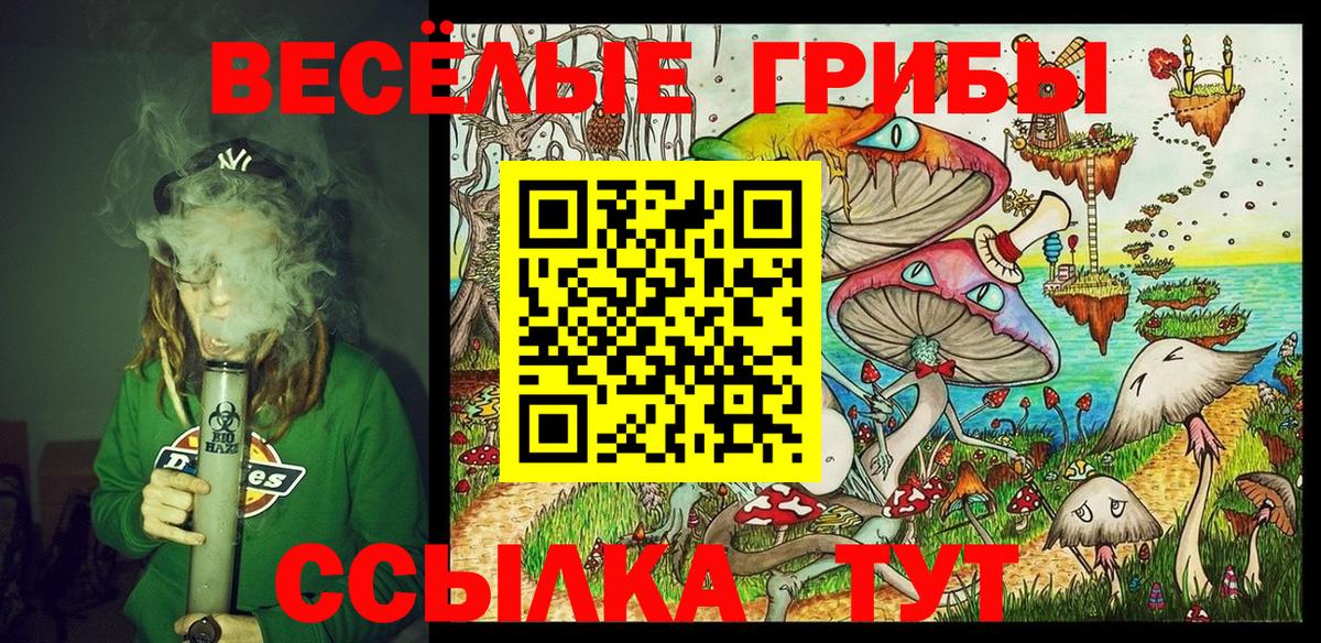 Галлюциногенные грибы Psilocybe  купить наркотик  Выкса  Вход с VPN 